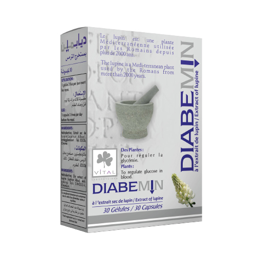 VITAL DIABEMIN 30 gélules