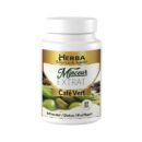 HERBA CAFE VERT MINCEUR EXTRAT BT/60 LHS