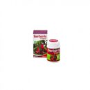BERBERIS VULGARIS PHYTO D’ART 30 GELULES