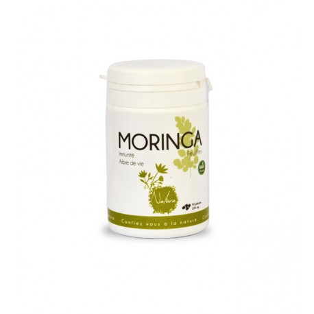BIO GATRANA MORINGA   90 gélules