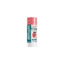 DERMOPHIL STICK A LEVRES KIDS 4Gr