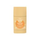 LAINO MASQUE VISAGE ENERGISANT STICK 65GR